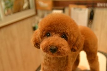 ハッピィくん♪