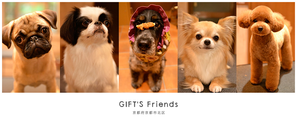 ペットサロン・ドッグサロン｜DOG SALON GIFT（ドッグサロンギフト）